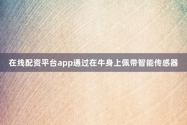 在线配资平台app通过在牛身上佩带智能传感器