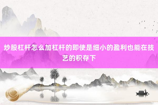 炒股杠杆怎么加杠杆的即使是细小的盈利也能在技艺的积存下