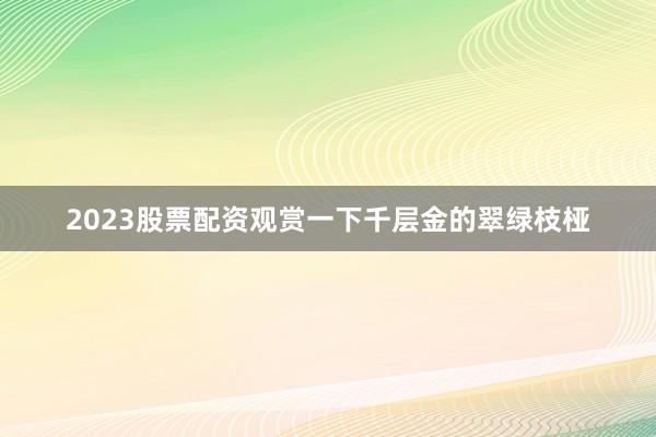 2023股票配资观赏一下千层金的翠绿枝桠