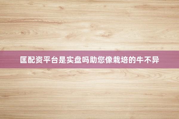 匡配资平台是实盘吗助您像栽培的牛不异