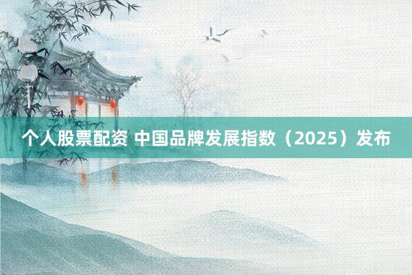 个人股票配资 中国品牌发展指数(2025)发布