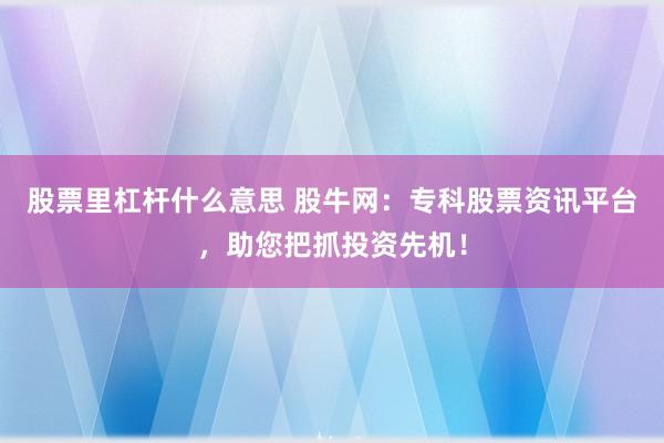 股票里杠杆什么意思 股牛网:专科股票资讯平台,助您把抓投资先机!