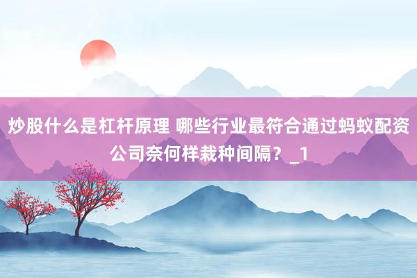 炒股什么是杠杆原理 哪些行业最符合通过蚂蚁配资公司奈何样栽种间隔?_1